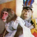 Цирковые обезьянки
