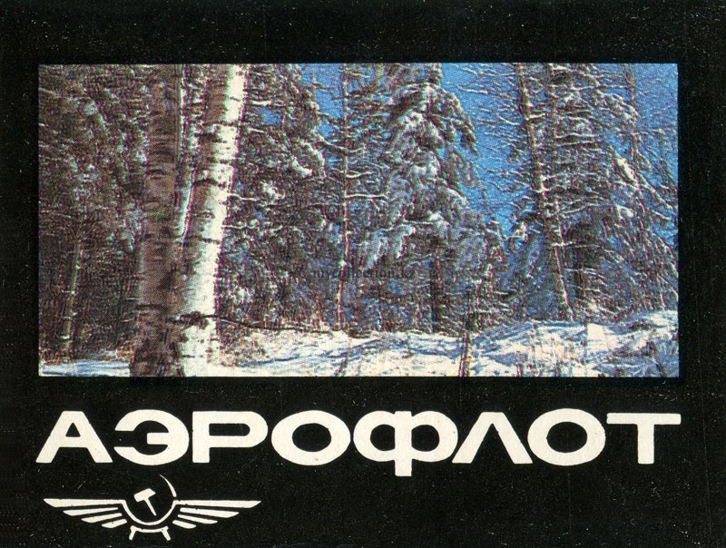 Aeroflot_Winter_forest.jpg