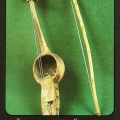 Kylkobyz - Kazakh folk musical instruments - Кылкобыз - тюркский струнный смычковый инструмент.jpg