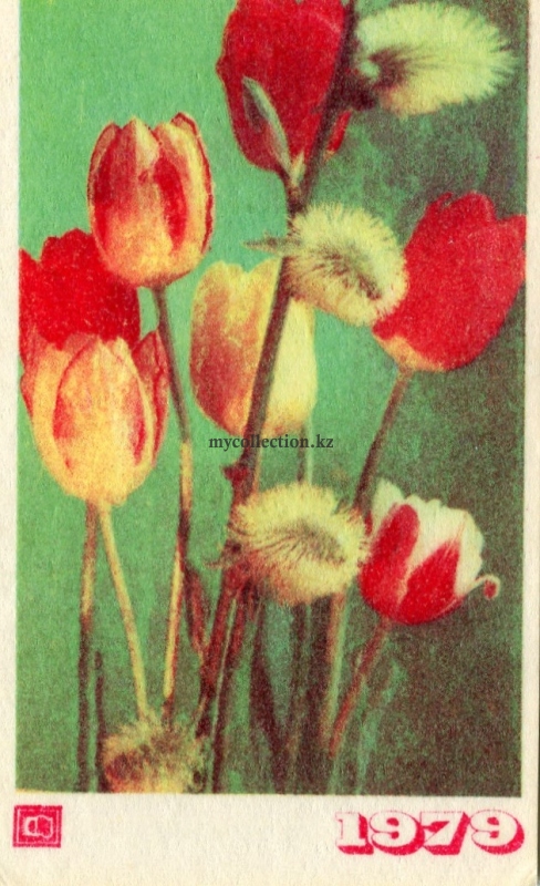 Tulips 1979.jpg