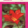 Tulipa vvedenskyi 1989 - Тюльпан Введенского.jpg