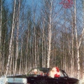 Avtoexport 1971 - GAZ-24 - ГАЗ-24 «Волга» - Дед Мороз и Снегурочка .jpg