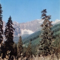 Ели в горах 1977 - Станкоимпорт - Stankoimport.jpg
