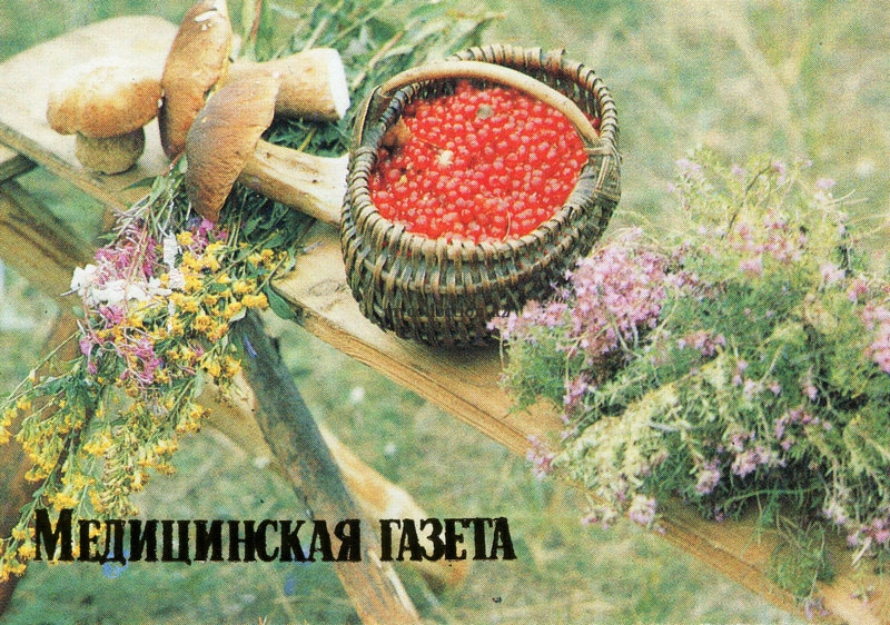 Medica Forest Still Life - Медицинская газета 1987 - Лесной натюрморт.jpg