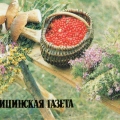 Medica Forest Still Life - Медицинская газета 1987 - Лесной натюрморт.jpg