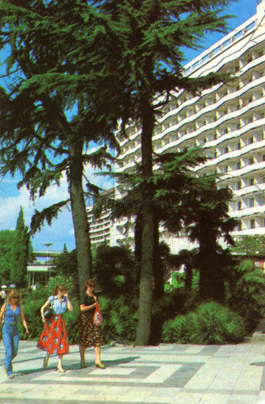 Resort Sochi 1987 - На курорте Сочи.jpg