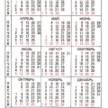 Карманный календарик СССР 1981 года | Pocket calendar of USSR | Taschenkalender