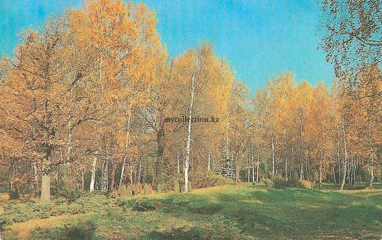 Nature 1981 - В осеннем лесу.jpg