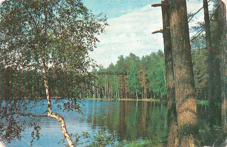 Вид на реку