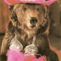 Bear - fashionista.jpg
