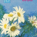 gosstrah1988 - Bouquet of chamomiles.jpg