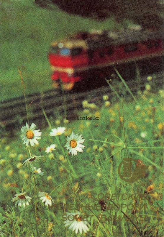 Советские железные дороги 1982 - Ромашки на железнодорожном откосе - Soviet Railways.jpg