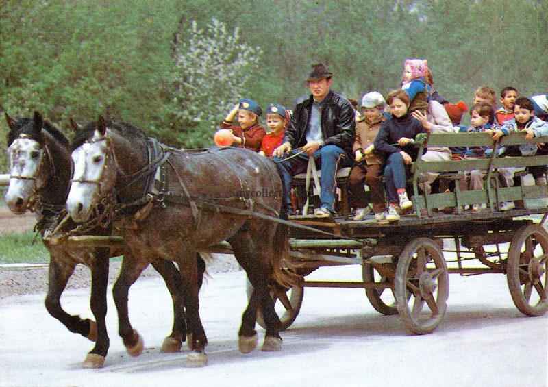 Катание детей в повозке 1990 Children riding in a cart.jpg
