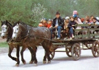 Children riding in a cart