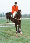 A jockey in a red doublet