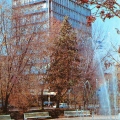 Fountain at the House of Soviets