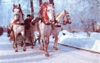Winter troika (three horses)