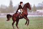 Equestrianism. Horsewoman