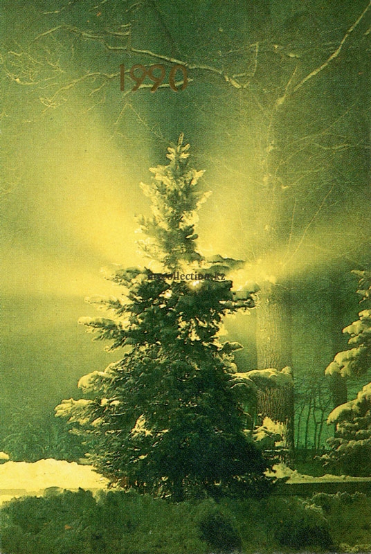 Солнце утопает за зимней хвойной завесой - Sunset through winter spruce 1990.jpg